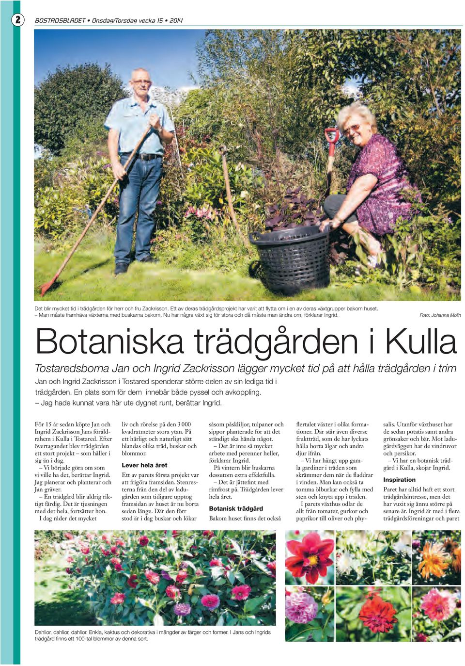 Foto: Johanna Molin Botaniska trädgården i Kulla Tostaredsborna Jan och Ingrid Zackrisson lägger mycket tid på att hålla trädgården i trim Jan och Ingrid Zack risson i Tostared spen derar större