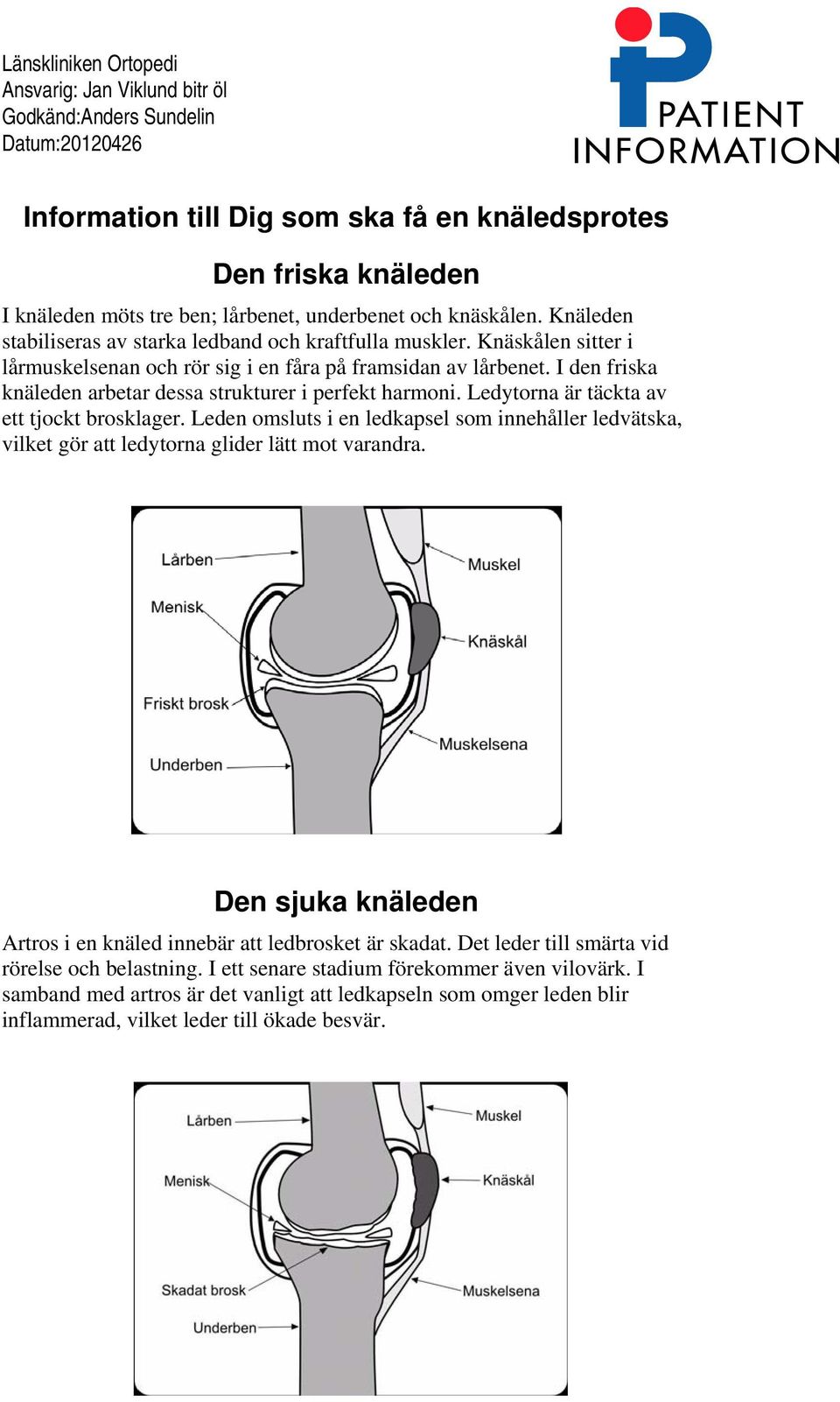 I den friska knäleden arbetar dessa strukturer i perfekt harmoni. Ledytorna är täckta av ett tjockt brosklager.