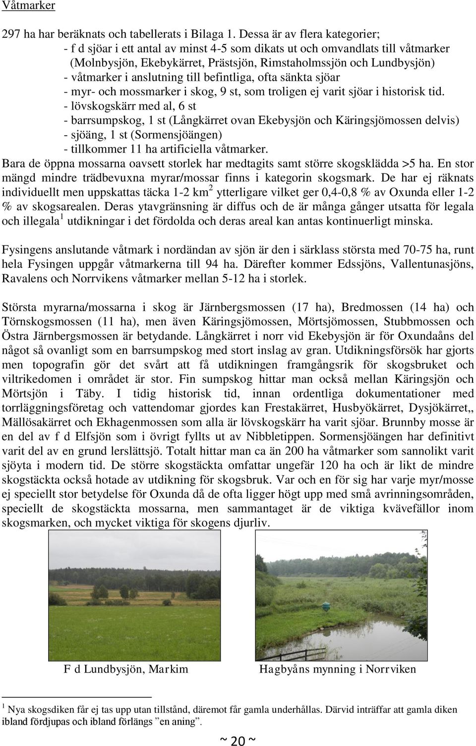 anslutning till befintliga, ofta sänkta sjöar - myr- och mossmarker i skog, 9 st, som troligen ej varit sjöar i historisk tid.