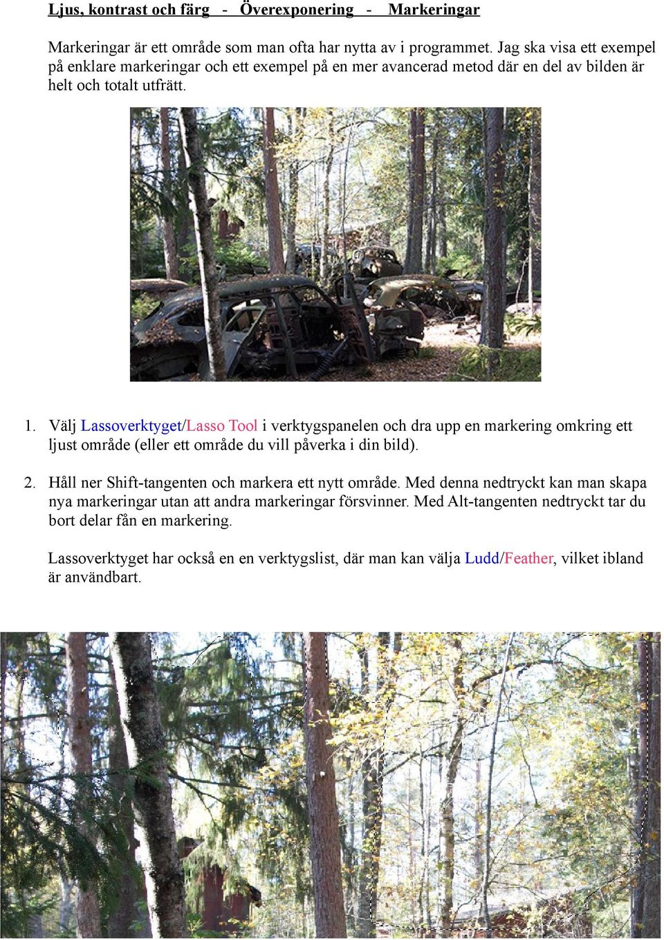 Välj Lassoverktyget/Lasso Tool i verktygspanelen och dra upp en markering omkring ett ljust område (eller ett område du vill påverka i din bild). 2.