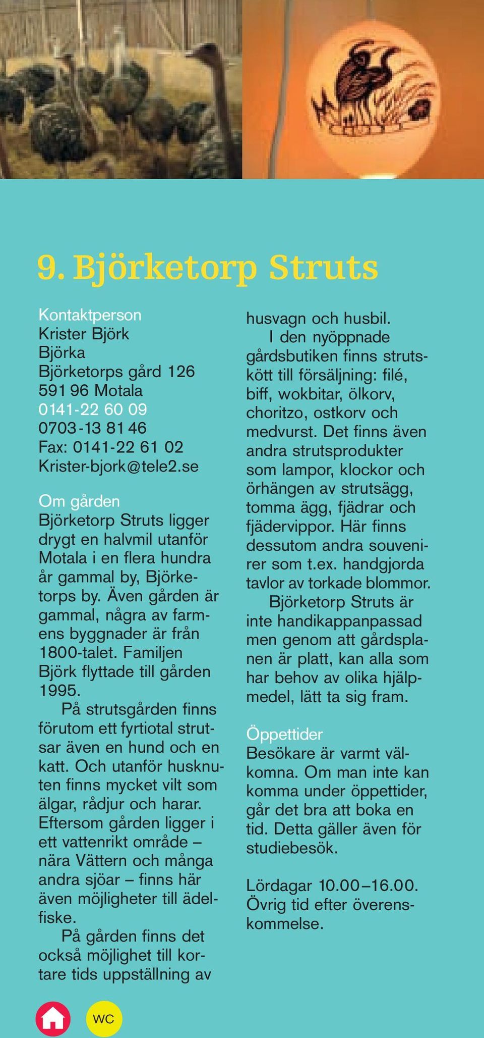 Familjen Björk flyttade till gården 1995. På strutsgården finns förutom ett fyrtiotal strutsar även en hund och en katt. Och utanför husknuten finns mycket vilt som älgar, rådjur och harar.