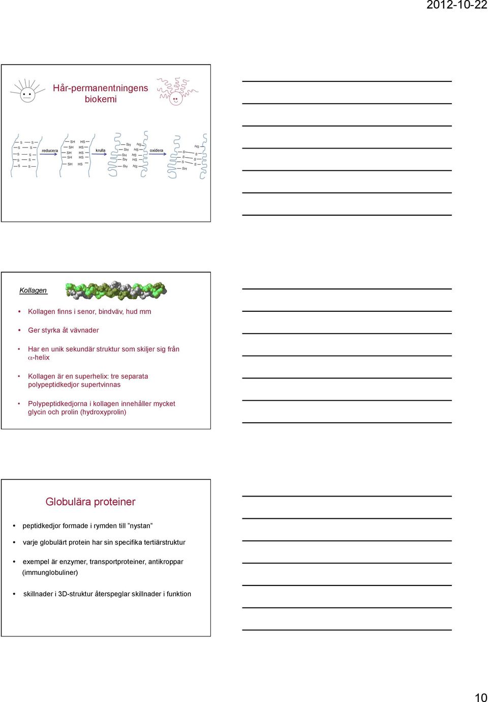 innehåller mycket glycin och prolin (hydroxyprolin) Globulära proteiner peptidkedjor formade i rymden till nystan varje globulärt protein har sin