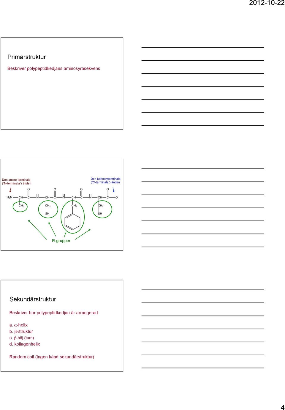 - CH 3 CH 2 CH 2 CH 2 SH SH R-grupper Sekundärstruktur Beskriver hur polypeptidkedjan är