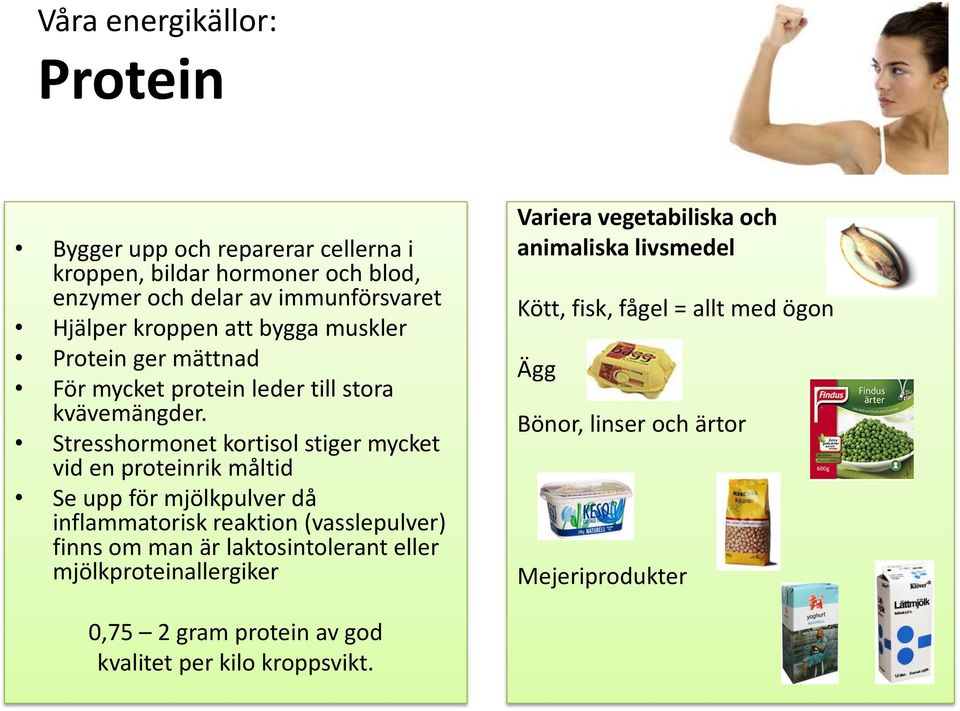 Stresshormonet kortisol stiger mycket vid en proteinrik måltid Se upp för mjölkpulver då inflammatorisk reaktion (vasslepulver) finns om man är