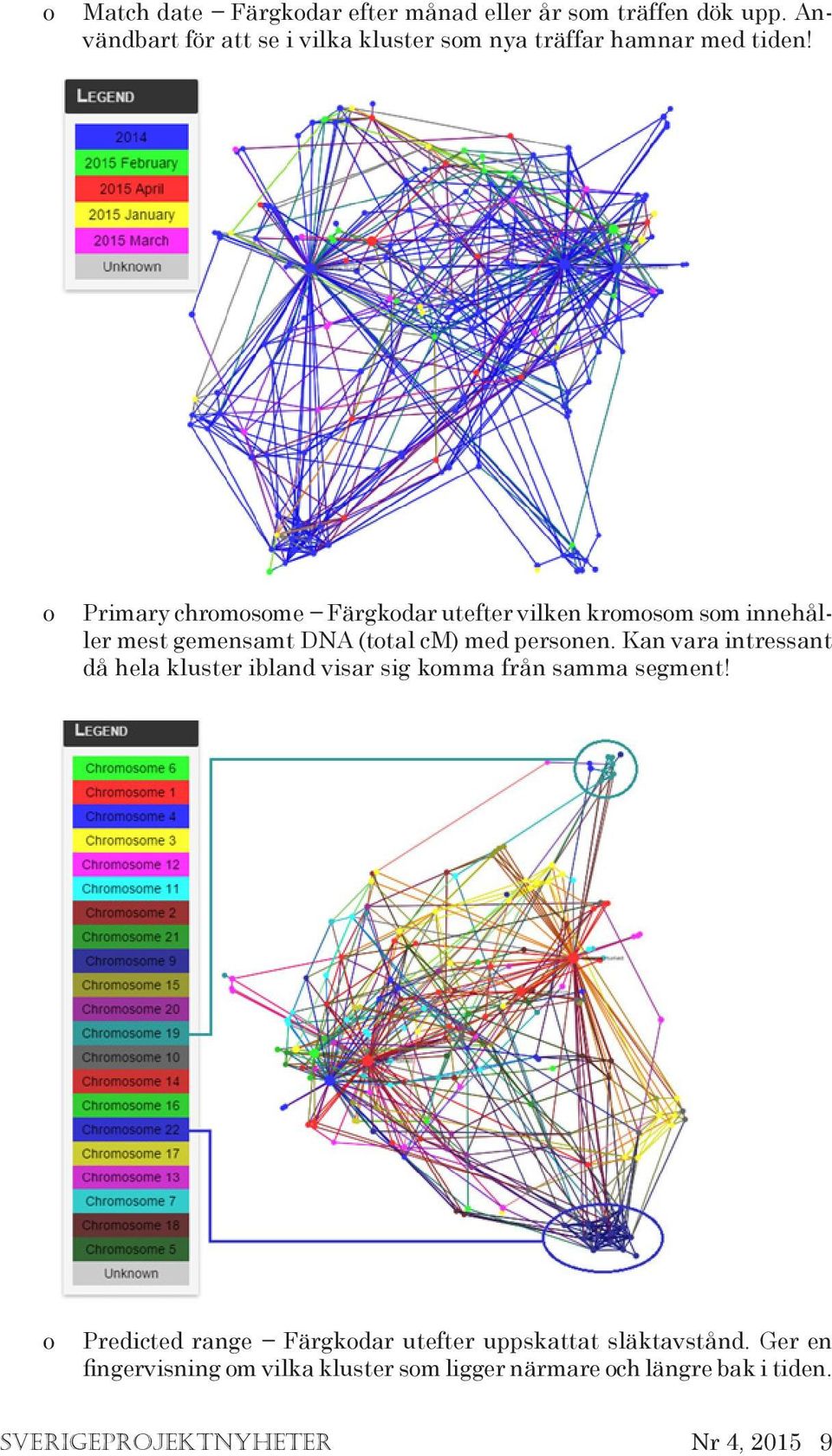 o Primary chromosome Färgkodar utefter vilken kromosom som innehåller mest gemensamt DNA (total cm) med personen.