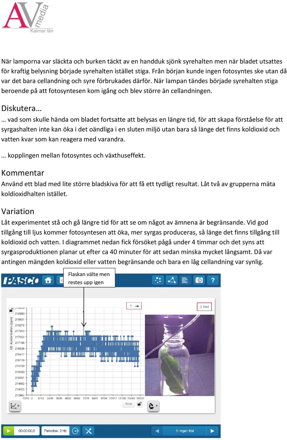 När lampan tändes började syrehalten stiga beroende på att fotosyntesen kom igång och blev större än cellandningen.