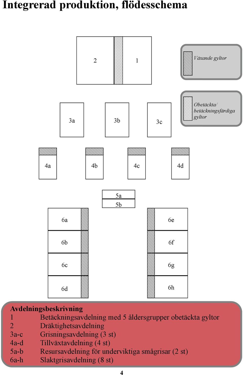 5 åldersgrupper obetäckta gyltor 2 Dräktighetsavdelning 3a-c Grisningsavdelning (3 st) 4a-d