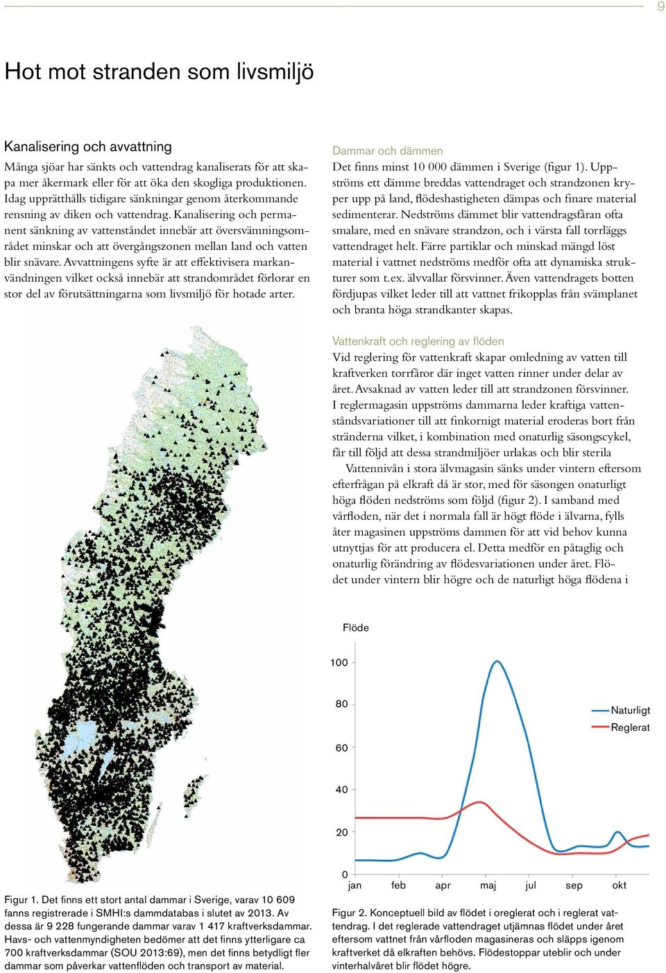 Kanalisering och permanent sänkning av vattenståndet innebär att översvämningsområdet minskar och att övergångszonen mellan land och vatten blir snävare.