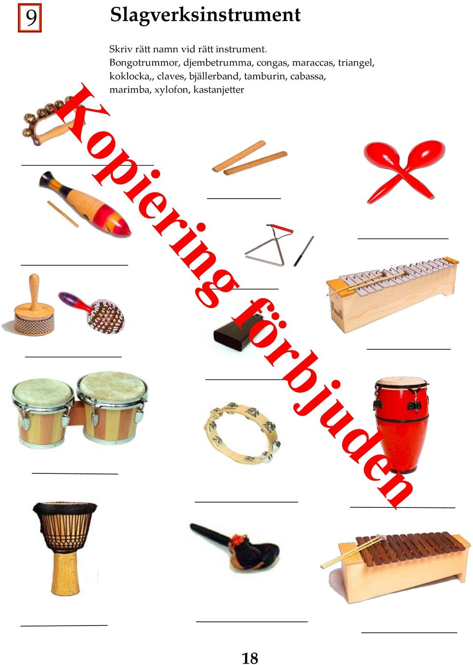 Bongotrummor, djembetrumma, congas, maraccas,