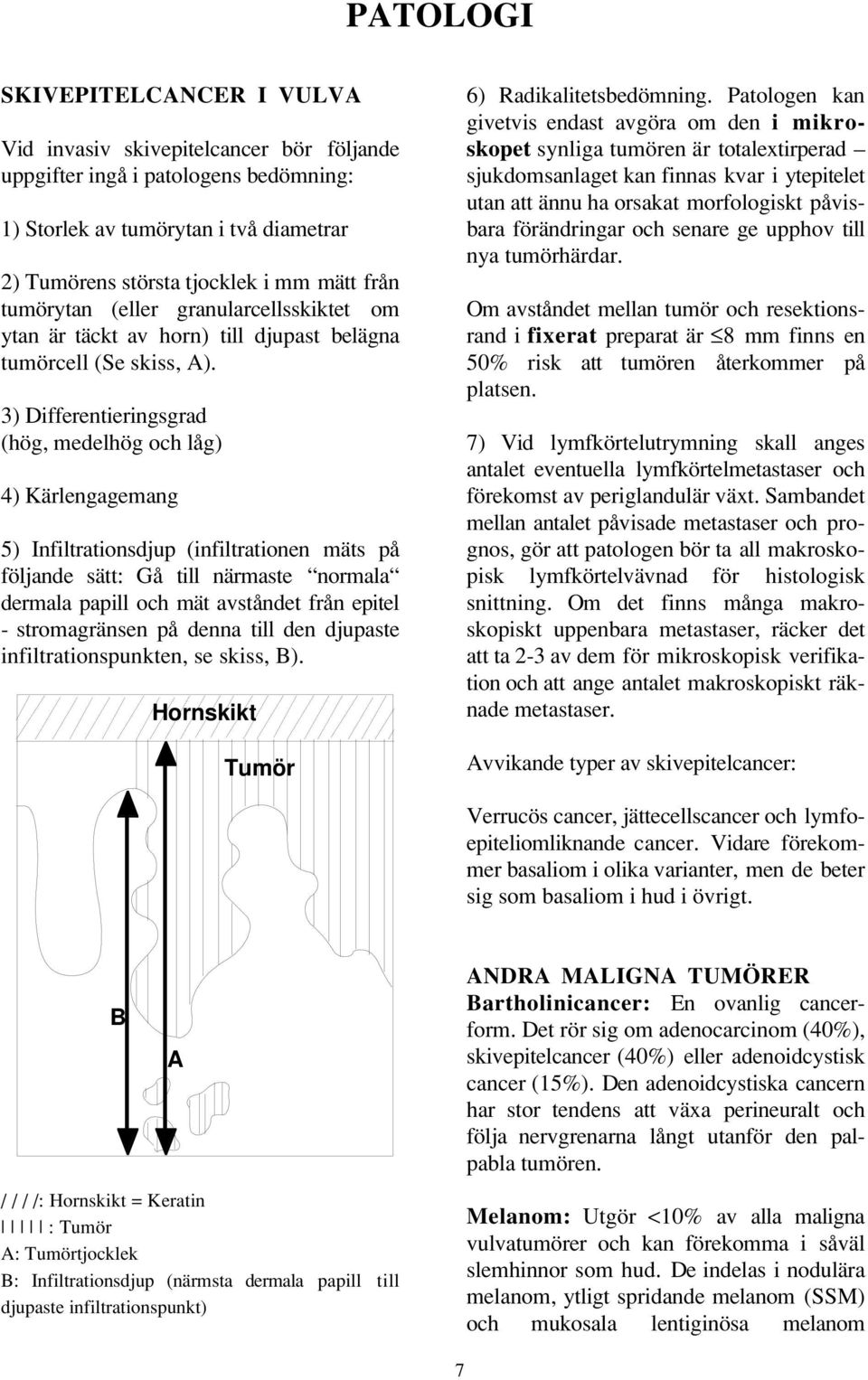 3) Differentieringsgrad (hög, medelhög och låg) 4) Kärlengagemang 5) Infiltrationsdjup (infiltrationen mäts på följande sätt: Gå till närmaste normala dermala papill och mät avståndet från epitel -