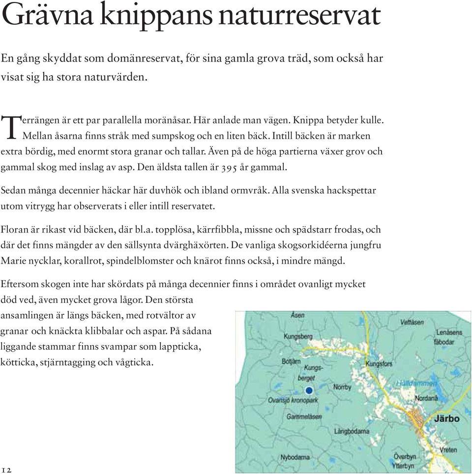 Även på de höga partierna växer grov och gammal skog med inslag av asp. Den äldsta tallen är 395 år gammal. Sedan många decennier häckar här duvhök och ibland ormvråk.