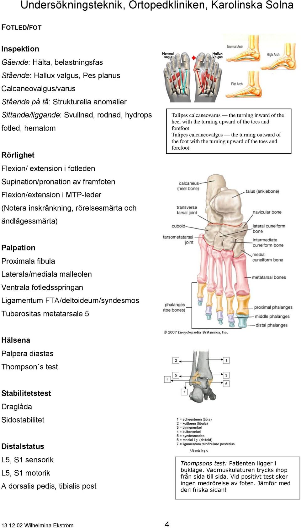 inward of the heel with the turning upward of the toes and forefoot Talipes calcaneovalgus the turning outward of the foot with the turning upward of the toes and forefoot Proximala fibula