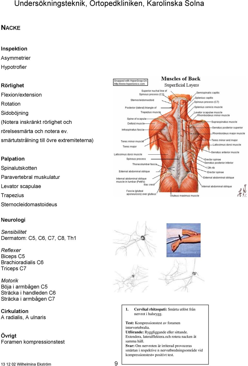 Biceps C5 Brachioradialis C6 Triceps C7 Motorik Böja i armbågen C5 Sträcka i handleden C6 Sträcka i armbågen C7 Cirkulation A radialis, A ulnaris Övrigt Foramen kompressionstest 13 12 02 Wilhelmina