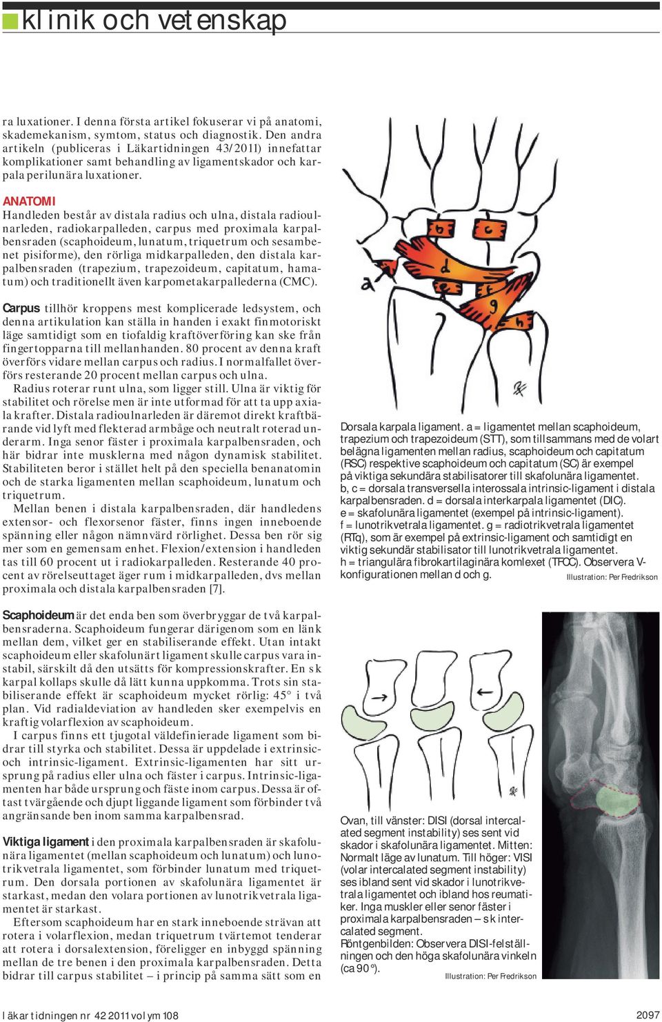 Anatomi Handleden består av distala radius och ulna, distala radioulnarleden, radiokarpalleden, carpus med proximala karpalbensraden (scaphoideum, lunatum, triquetrum och sesambenet pisiforme), den