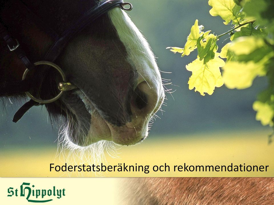 St Hippolyt Foderstatsberäkning