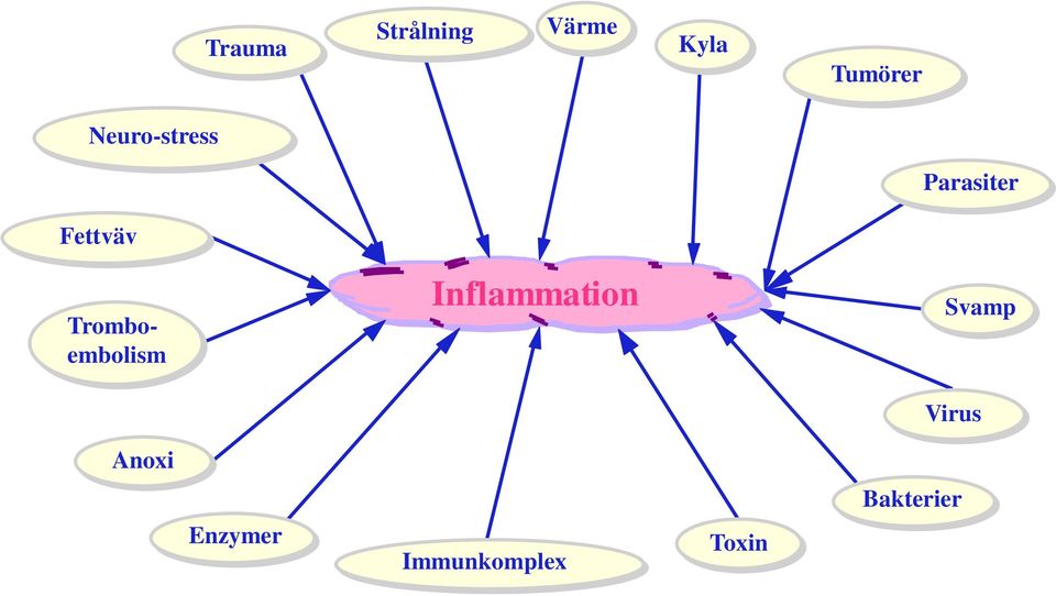 Tromboembolism Inflammation Svamp