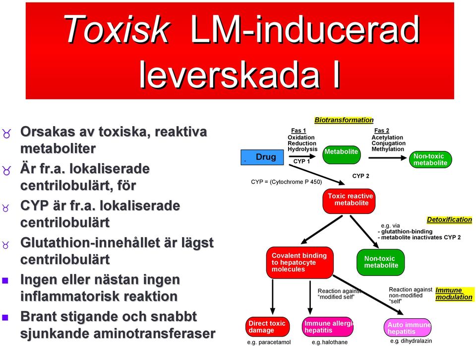 a I Orsakas av toxiska, reaktiva metaboliter Är fr.a. lokaliserade centrilobulärt, för CYP är fr.a. lokaliserade centrilobulärt Glutathion-innehållet innehållet är lägst centrilobulärt Ingen eller