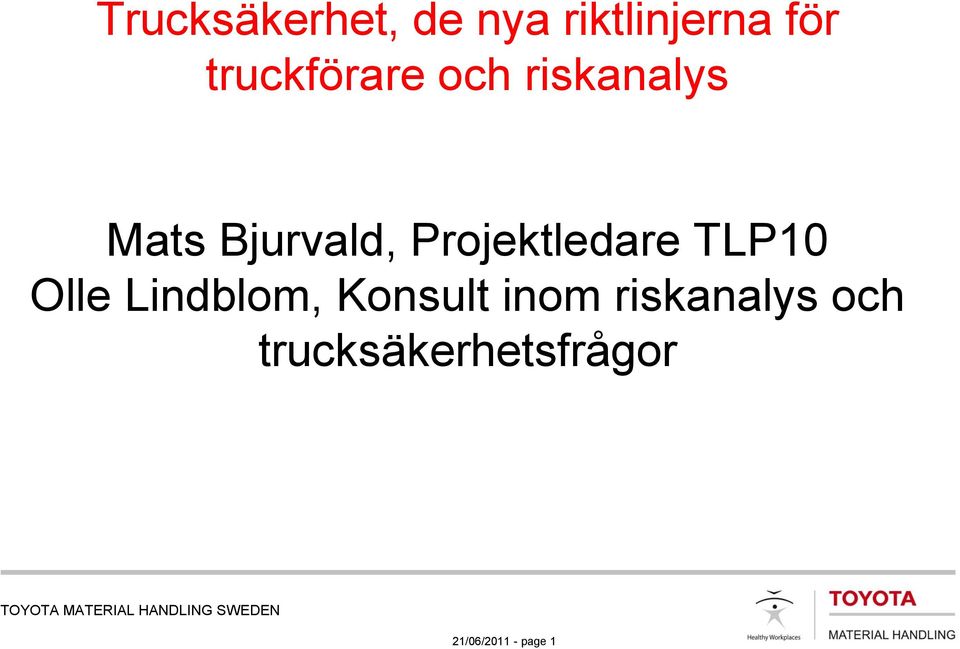 Olle Lindblom, Konsult inom riskanalys och
