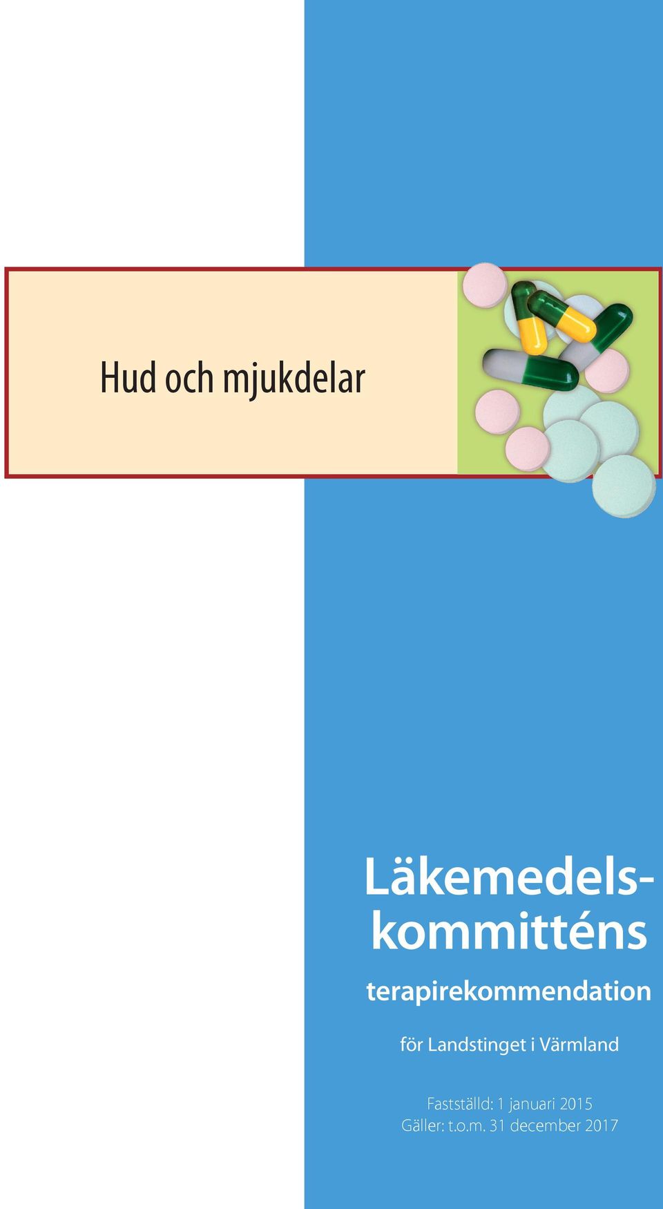 terapirekommendation för Landstinget