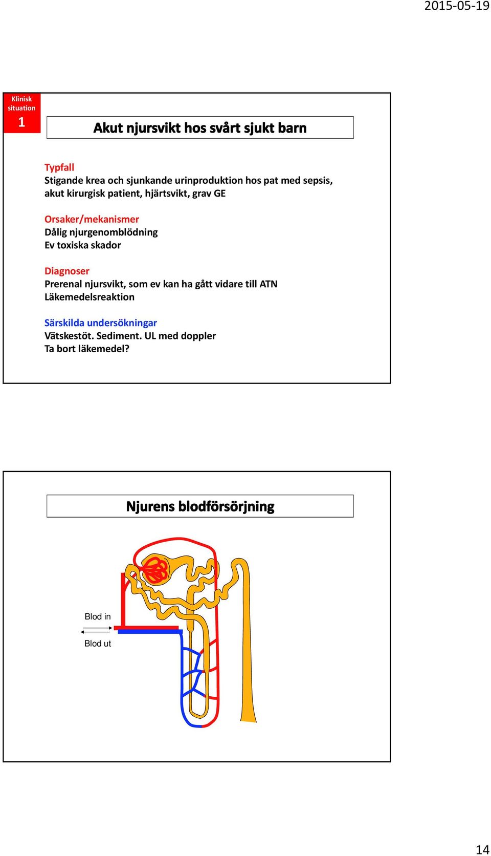 toxiska skador Diagnoser Prerenal njursvikt, somev kan ha gått vidare tillatn