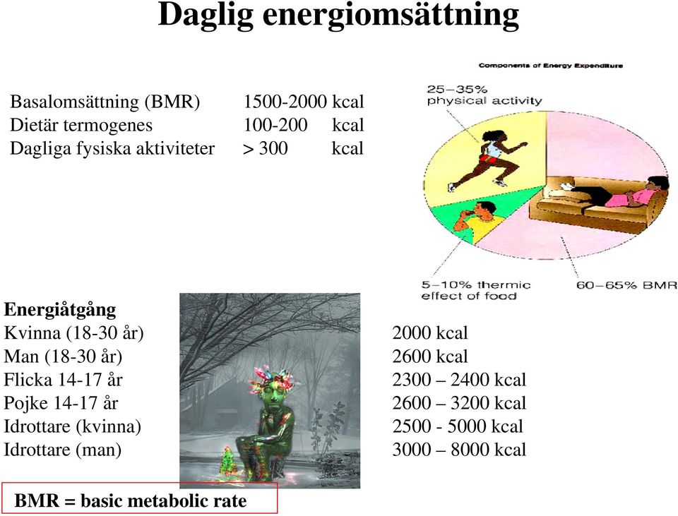 (18-30 år) Flicka 14-17 år Pojke 14-17 år Idrottare (kvinna) Idrottare (man) 2000 kcal