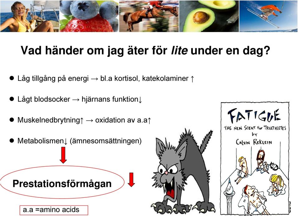 a kortisol, katekolaminer Lågt blodsocker hjärnans