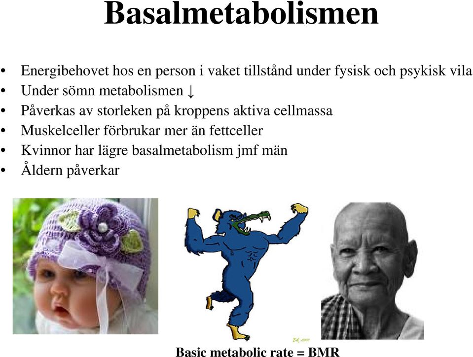 kroppens aktiva cellmassa Muskelceller förbrukar mer än fettceller