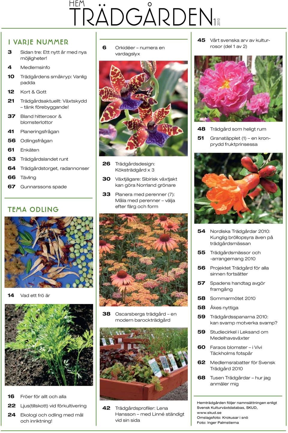 numera en vardagslyx 26 Trädgårdsdesign: Köksträdgård x 3 30 Växtjägare: Sibirisk växtjakt kan göra Norrland grönare 33 Planera med perenner (7): Måla med perenner välja efter färg och form 45 Vårt
