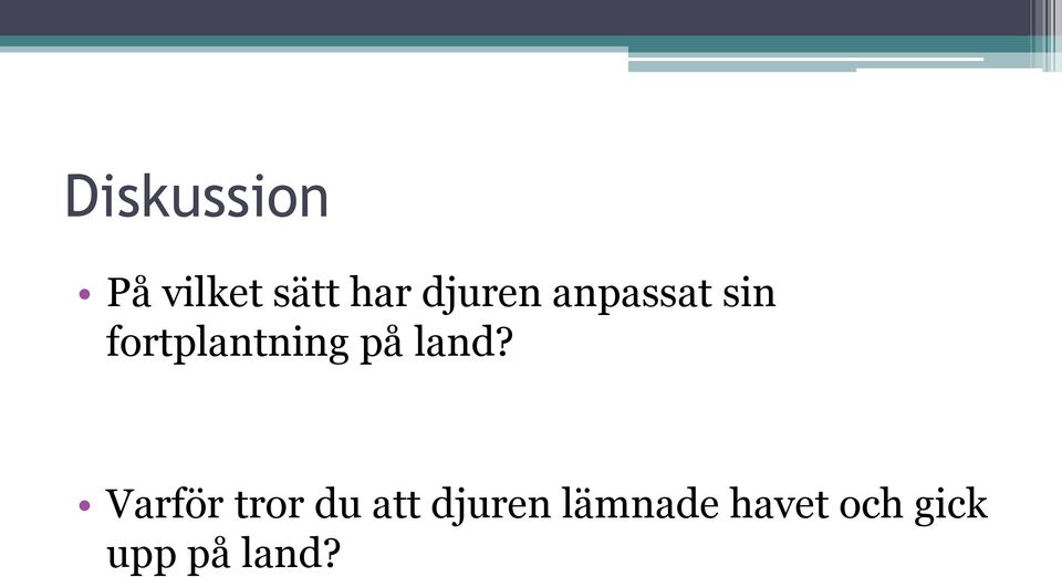 på land?