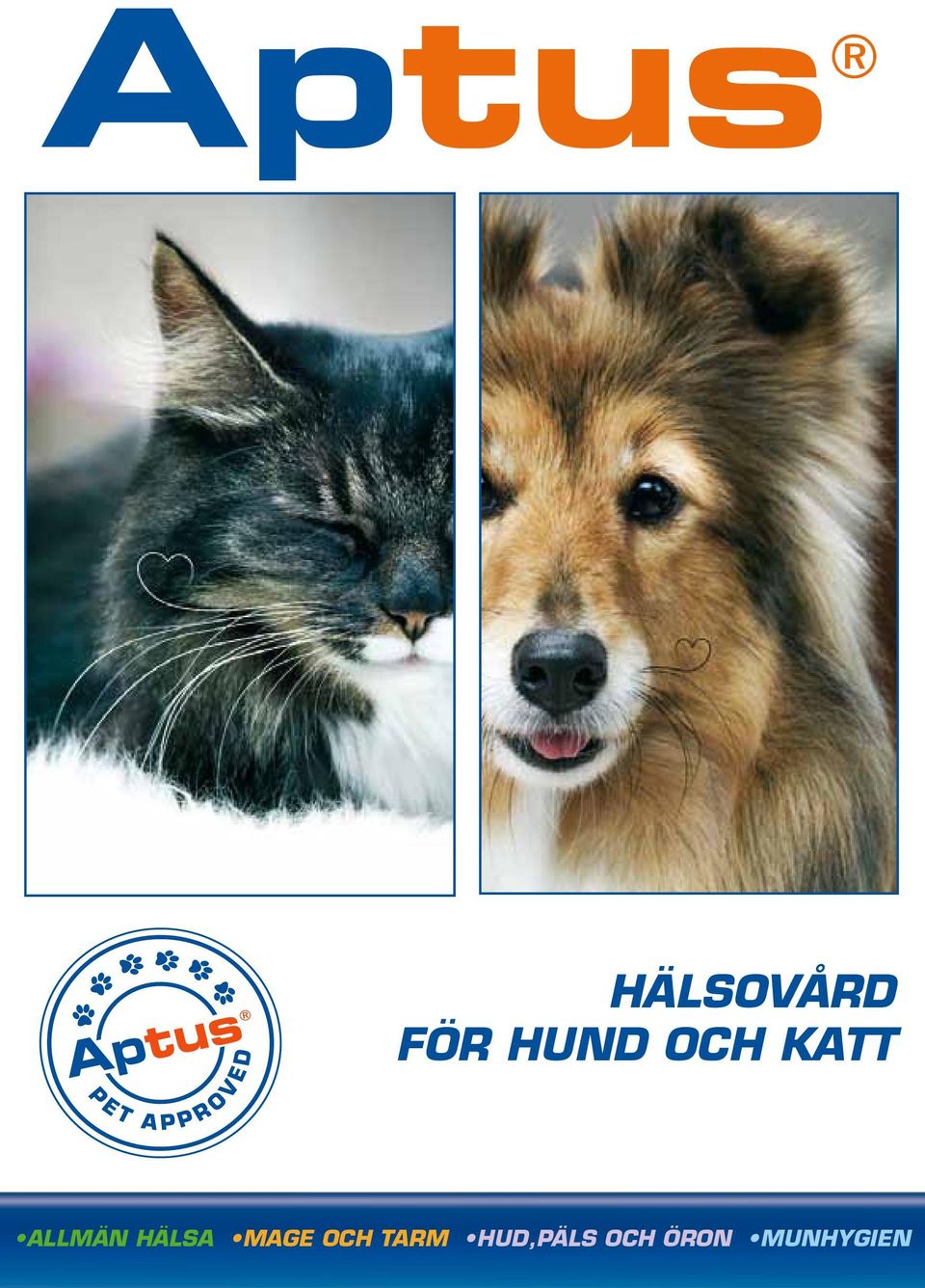 HÄLSA MAGE OCH TARM