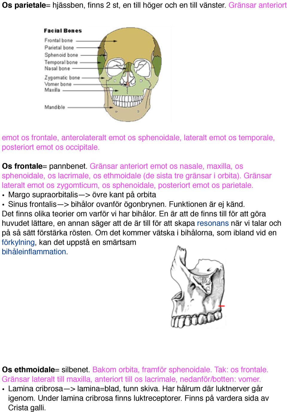 Gränsar anteriort emot os nasale, maxilla, os sphenoidale, os lacrimale, os ethmoidale (de sista tre gränsar i orbita).