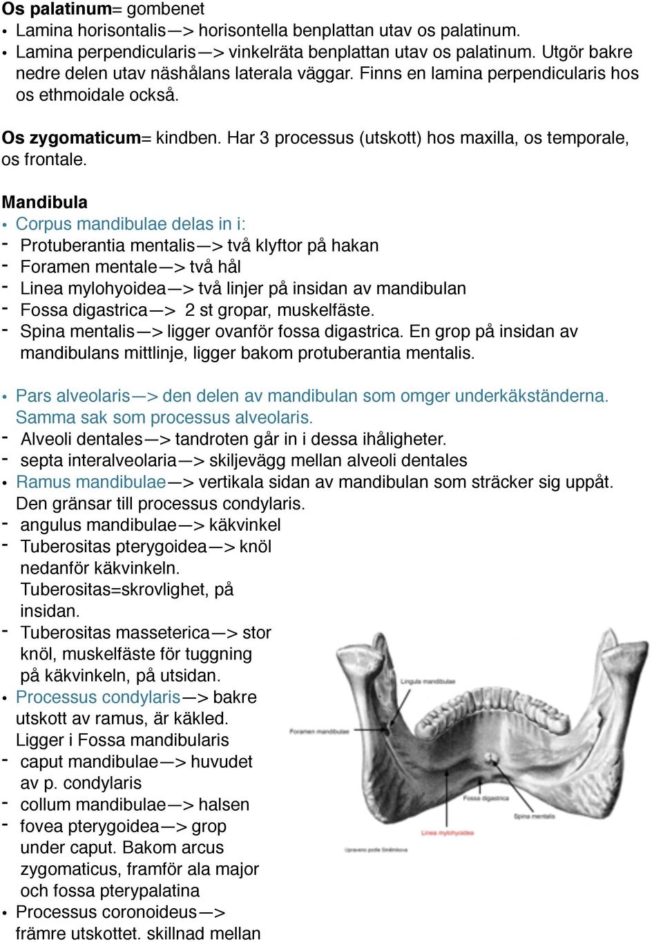 Har 3 processus (utskott) hos maxilla, os temporale, os frontale.