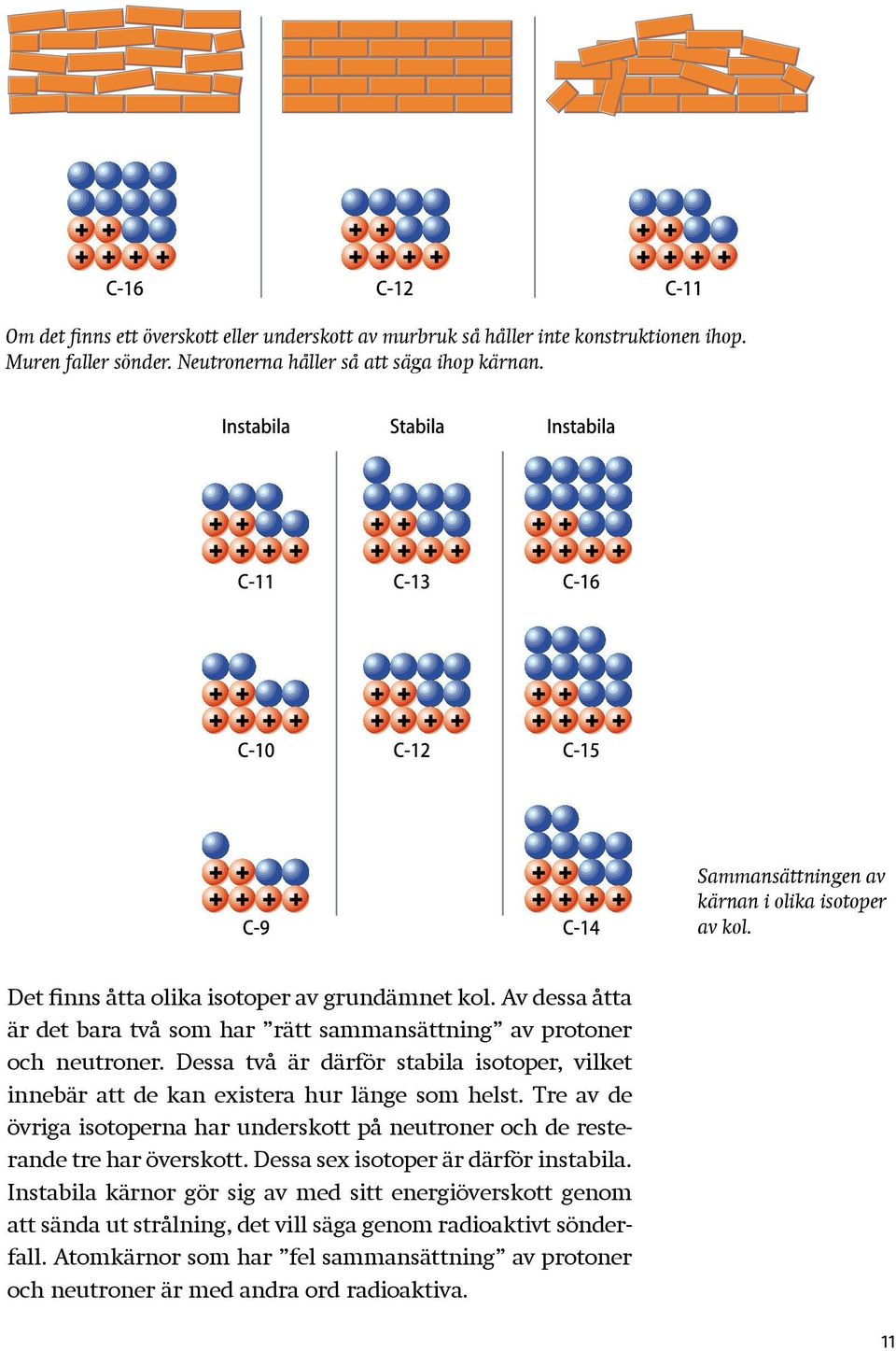 Dessa två är därför stabila isotoper, vilket innebär att de kan existera hur länge som helst. Tre av de övriga isotoperna har underskott på neutroner och de resterande tre har överskott.