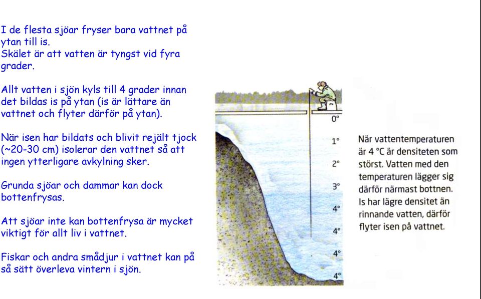 När isen har bildats och blivit rejält tjock (~20-30 cm) isolerar den vattnet så att ingen ytterligare avkylning sker.