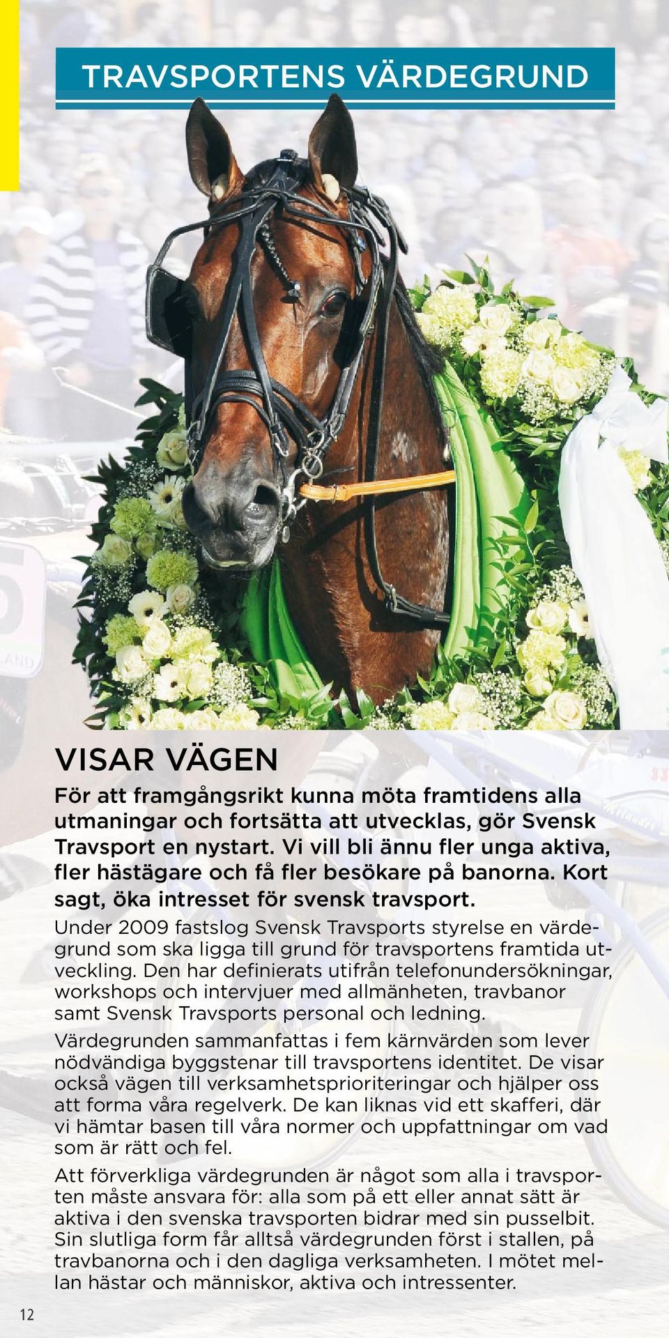 Under 2009 fastslog Svensk Travsports styrelse en värdegrund som ska ligga till grund för travsportens framtida utveckling.