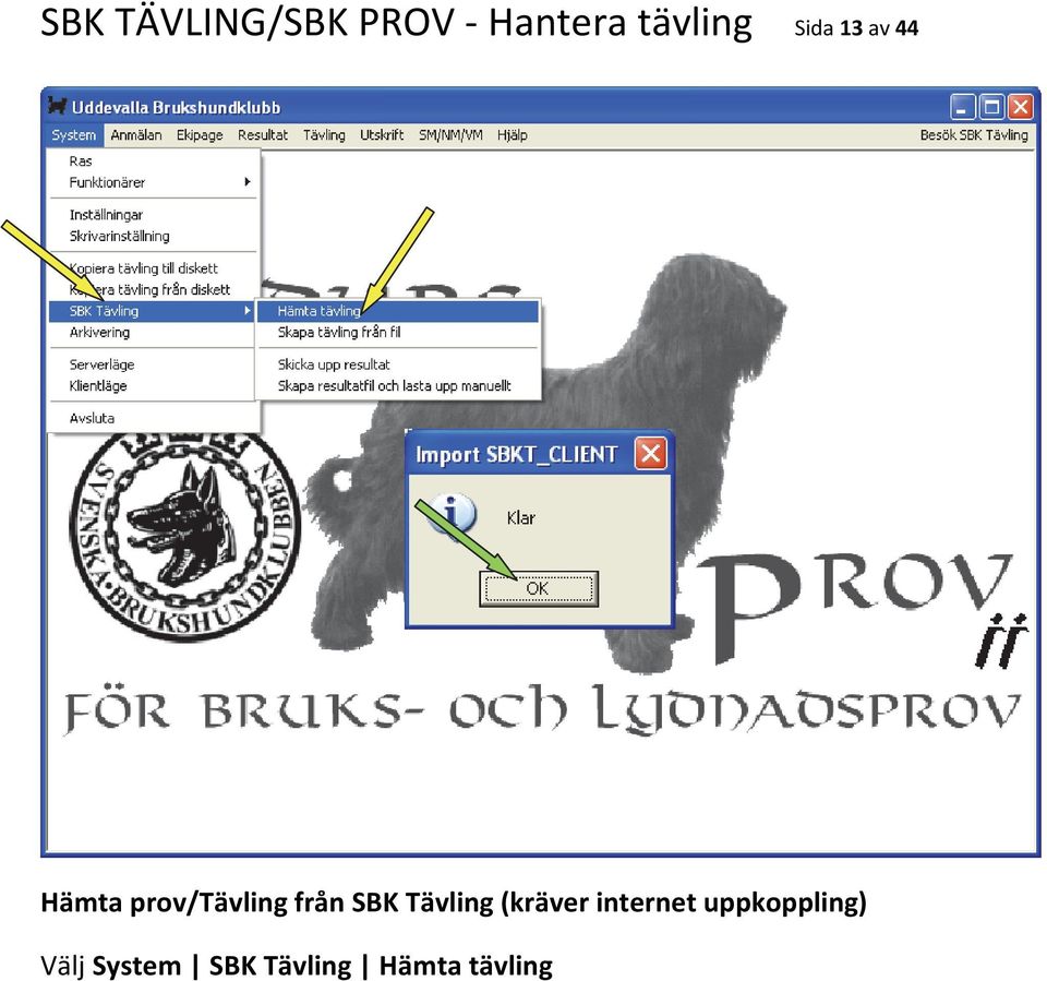 SBK Tävling (kräver internet