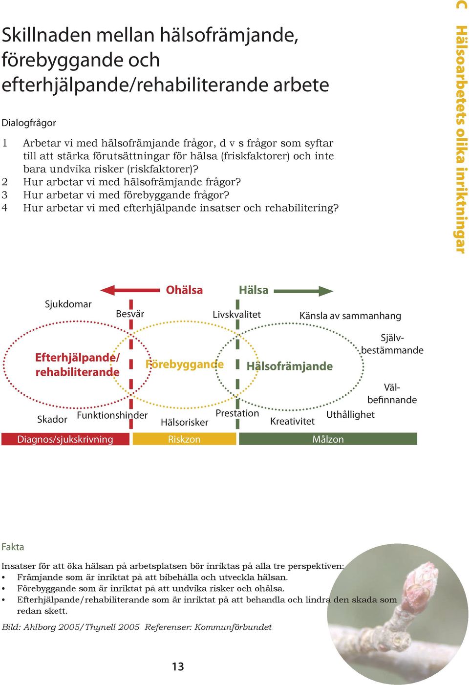 4 Hur arbetar vi med efterhjälpande insatser och rehabilitering?