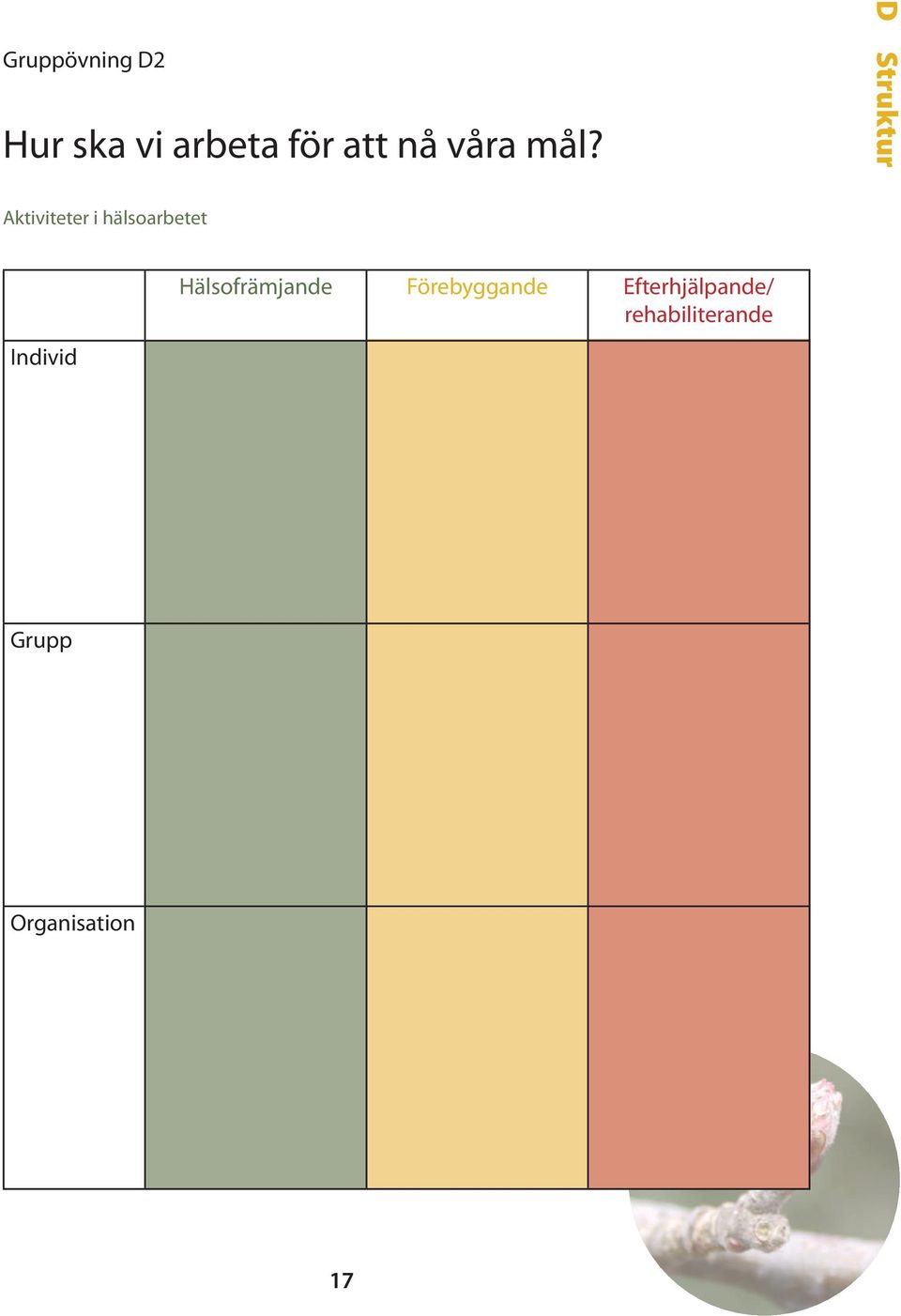 D Struktur Aktiviteter i hälsoarbetet Individ