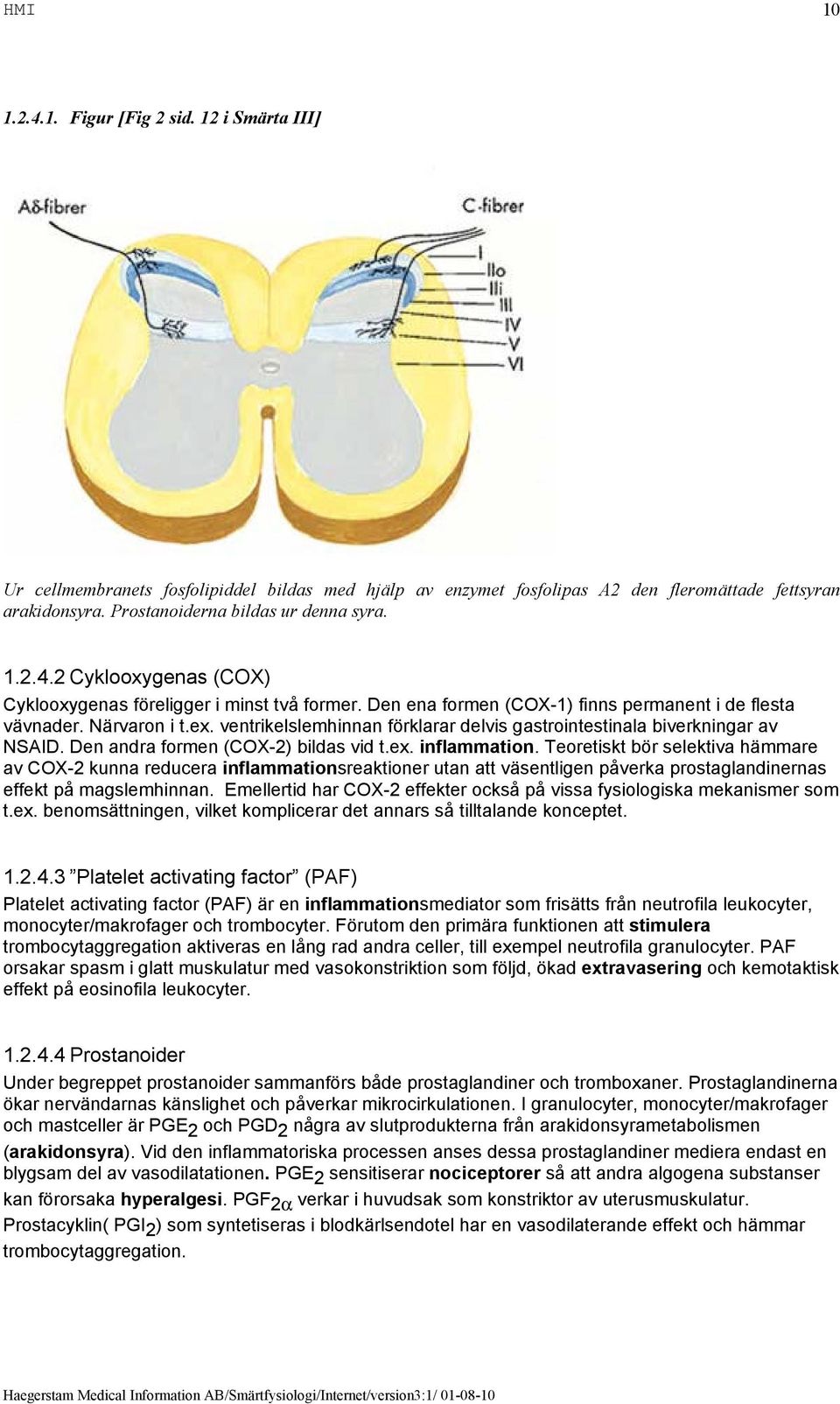 ventrikelslemhinnan förklarar delvis gastrointestinala biverkningar av NSAID. Den andra formen (COX-2) bildas vid t.ex. inflammation.