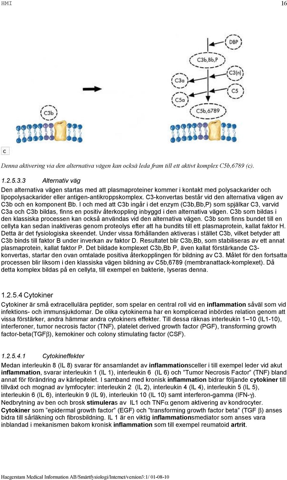 C3-konvertas består vid den alternativa vägen av C3b och en komponent Bb.