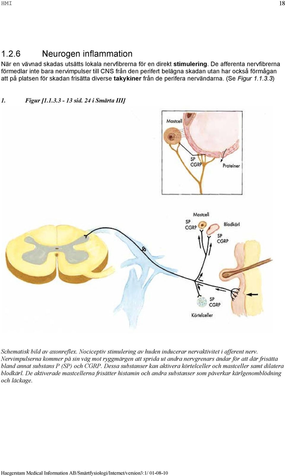 nervändarna. (Se Figur 1.1.3.3) 1. Figur [1.1.3.3-13 sid. 24 i Smärta III] Schematisk bild av axonreflex. Nociceptiv stimulering av huden inducerar nervaktivitet i afferent nerv.