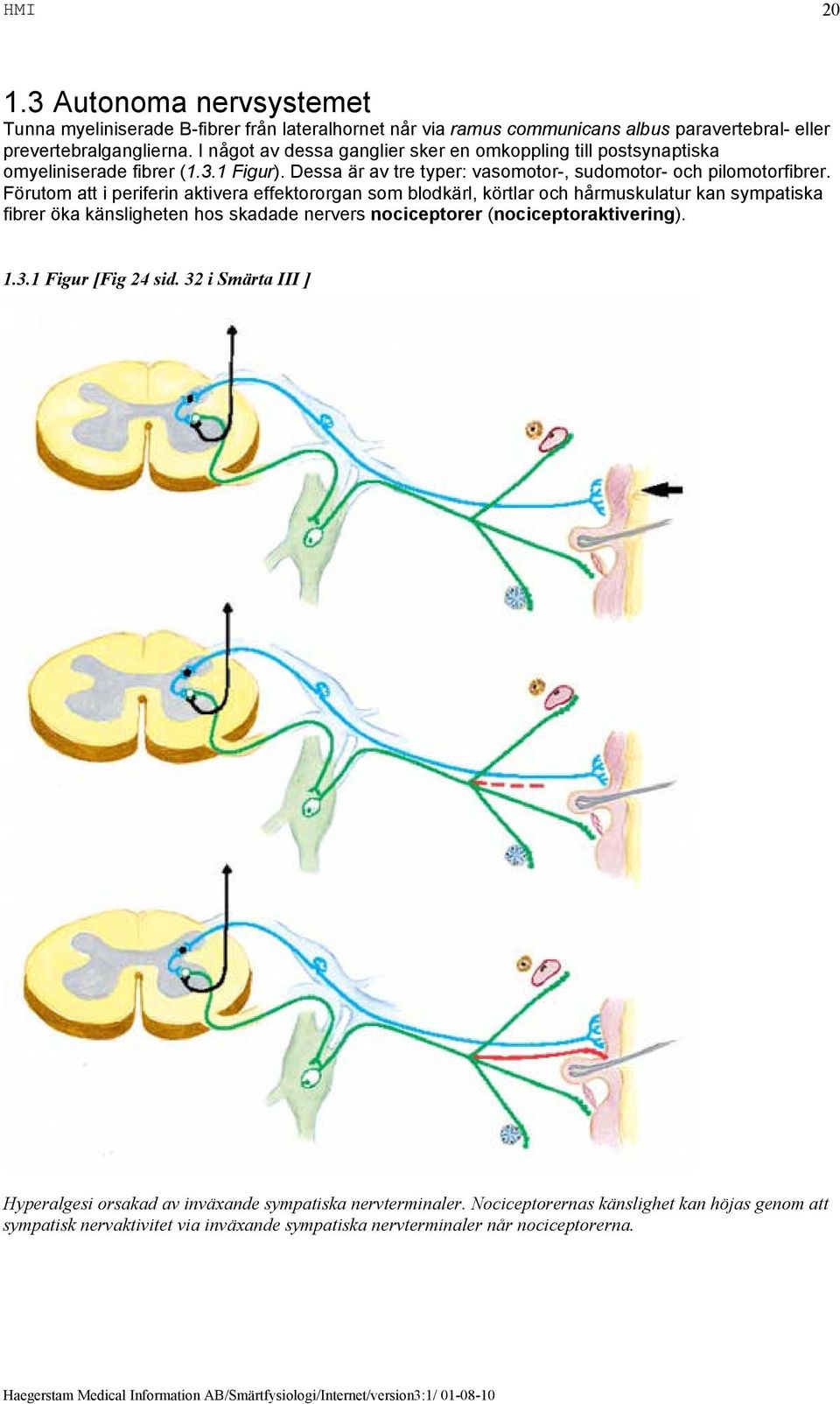 Förutom att i periferin aktivera effektororgan som blodkärl, körtlar och hårmuskulatur kan sympatiska fibrer öka känsligheten hos skadade nervers nociceptorer (nociceptoraktivering). 1.