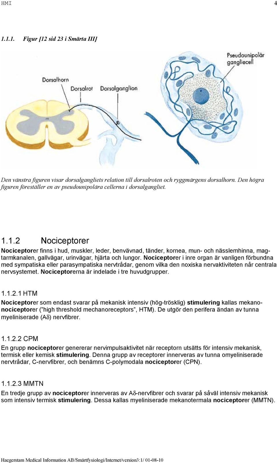 1.2 Nociceptorer Nociceptorer finns i hud, muskler, leder, benvävnad, tänder, kornea, mun- och nässlemhinna, magtarmkanalen, gallvägar, urinvägar, hjärta och lungor.