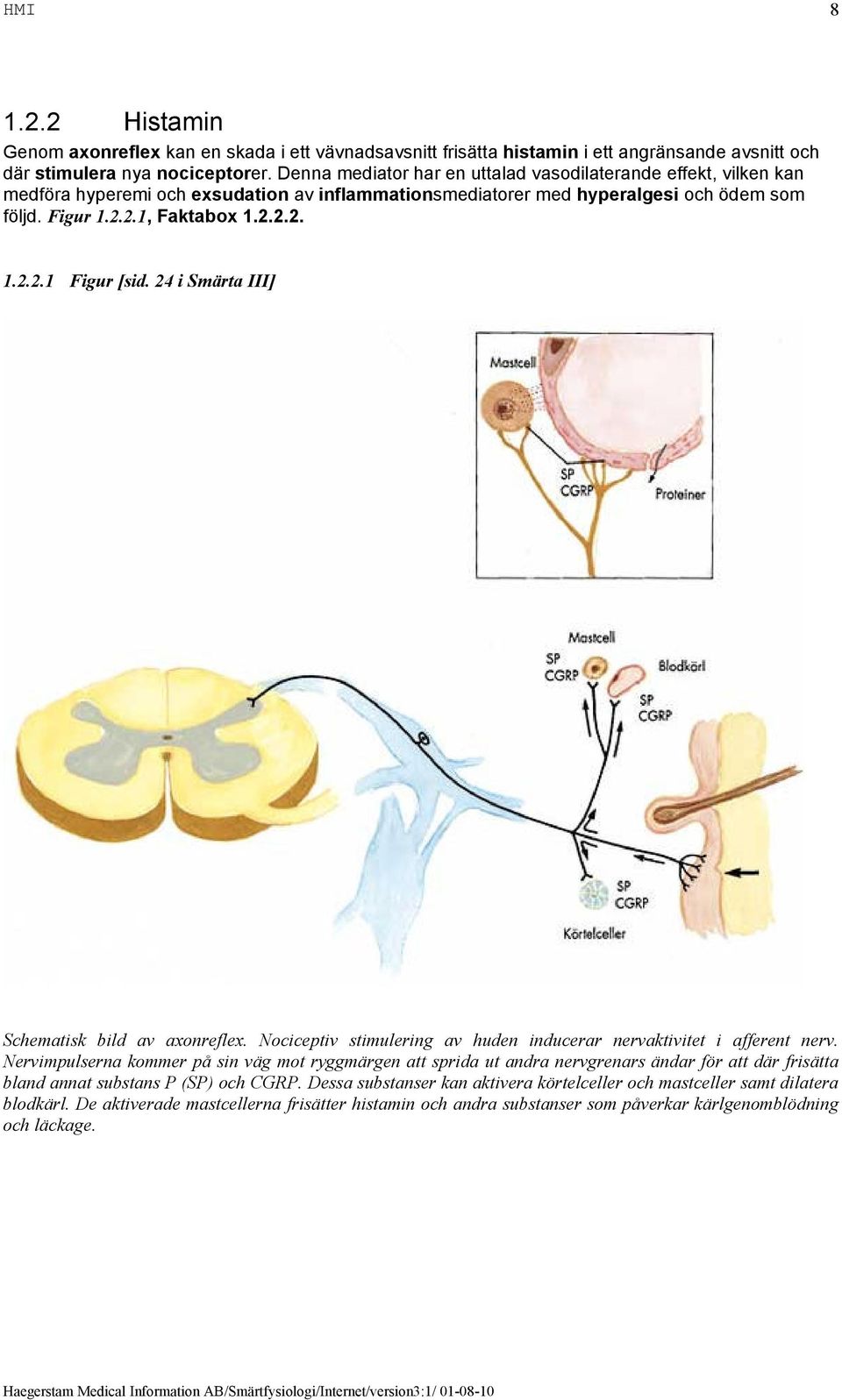 24 i Smärta III] Schematisk bild av axonreflex. Nociceptiv stimulering av huden inducerar nervaktivitet i afferent nerv.