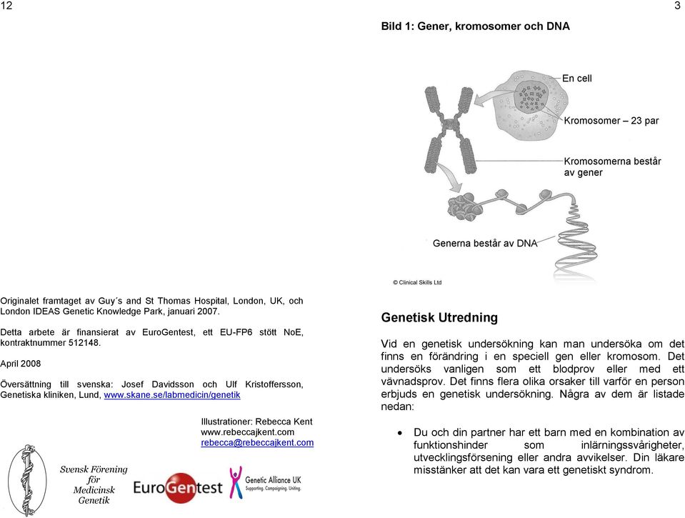 skane.se/labmedicin/genetik Svensk Förening för Medicinsk Genetik Illustrationer: Rebecca Kent www.rebeccajkent.com rebecca@rebeccajkent.