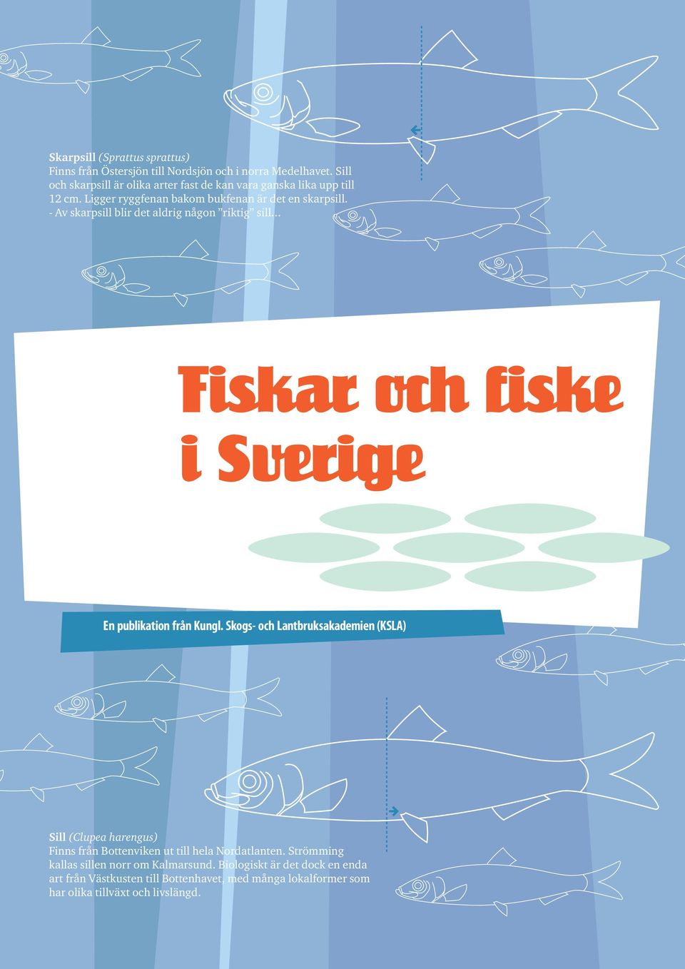 - Av skarpsill blir det aldrig någon riktig sill... Fiskar och fiske i Sverige En publikation från Kungl.