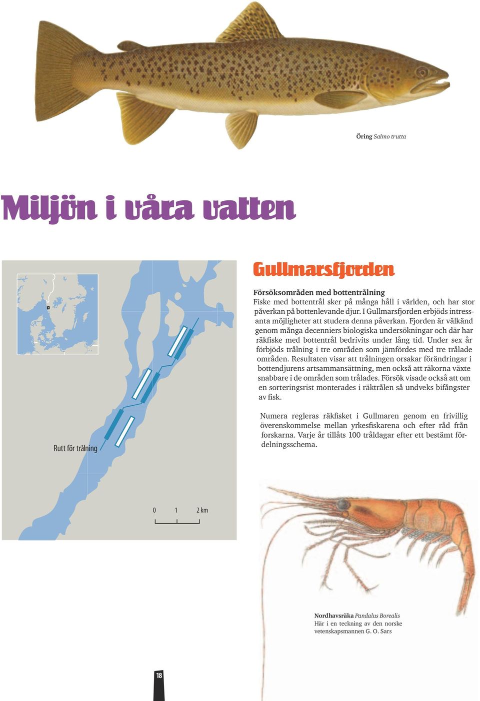 Fjorden är välkänd genom många decenniers biologiska undersökningar och där har räkfiske med bottentrål bedrivits under lång tid.