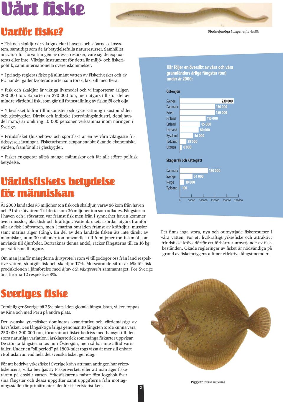 I princip regleras fiske på allmänt vatten av Fiskeriverket och av EU när det gäller kvoterade arter som torsk, lax, sill med flera.