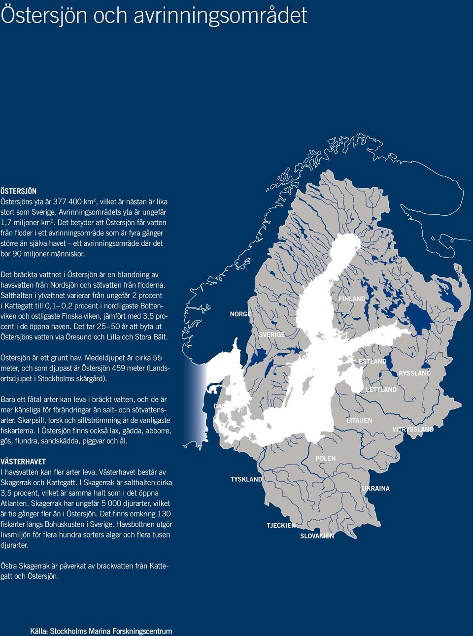 Det bräckta vattnet i Östersjön är en blandning av havsvatten från Nordsjön och sötvatten från floderna.
