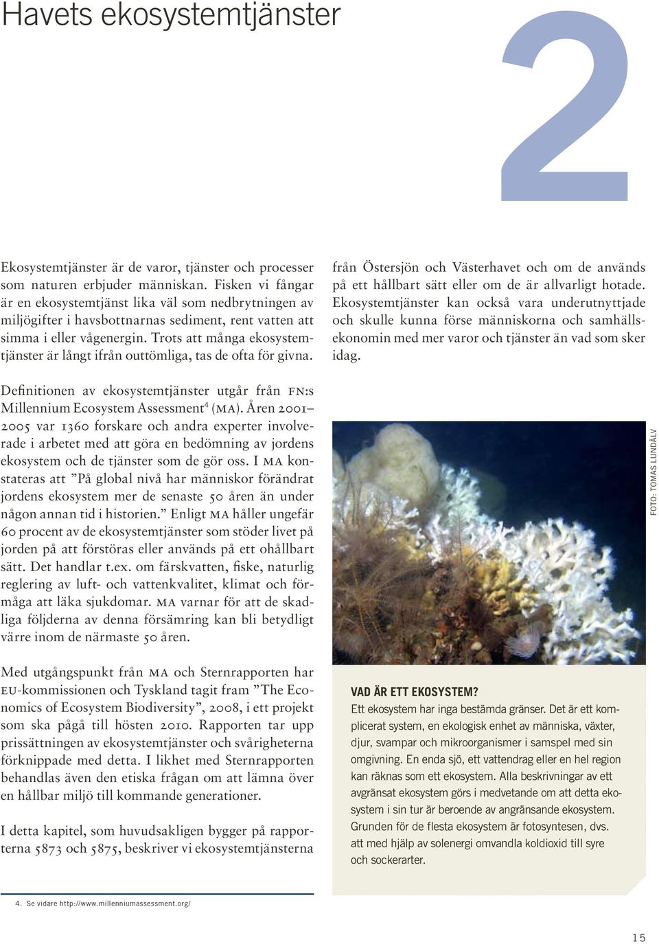 Trots att många ekosystemtjänster är långt ifrån outtömliga, tas de ofta för givna. Definitionen av ekosystemtjänster utgår från fn:s Millennium Ecosystem Assessment 4 (ma).